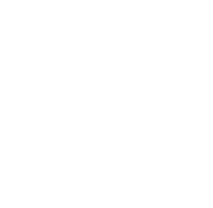 BRING-ONLINE-WIT